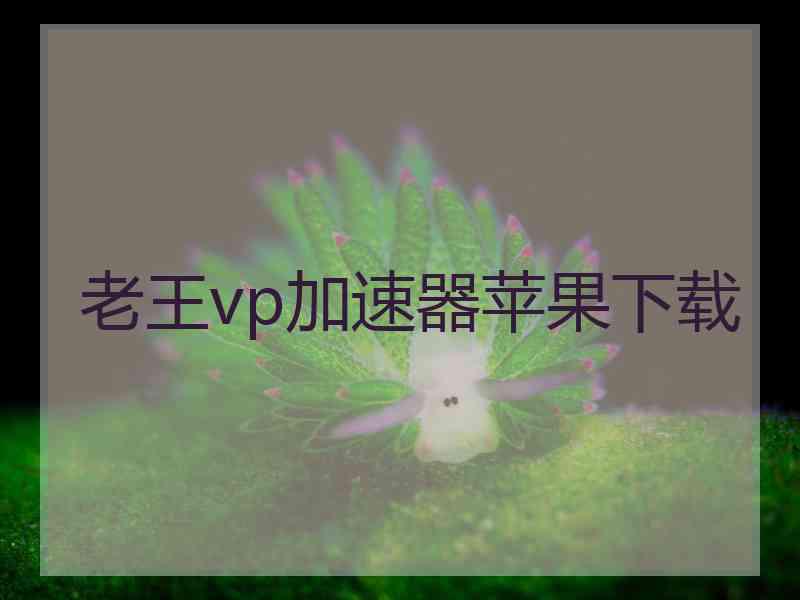 老王vp加速器苹果下载