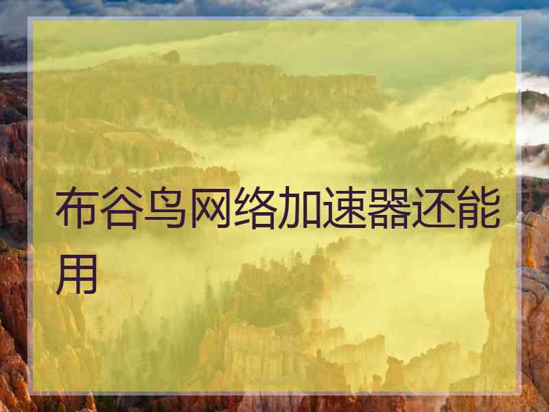 布谷鸟网络加速器还能用