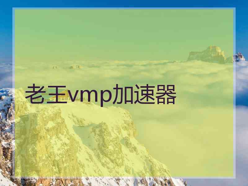 老王vmp加速器