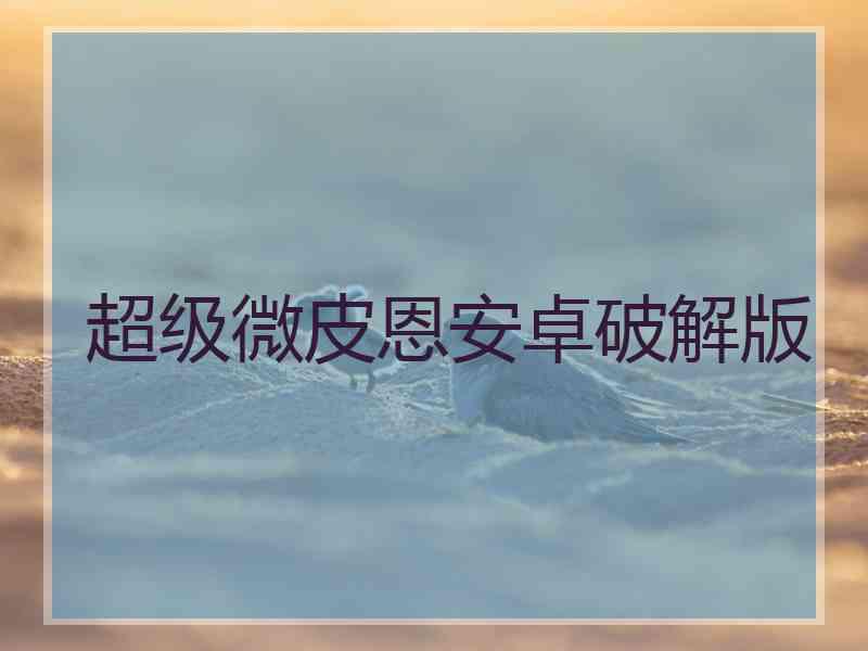 超级微皮恩安卓破解版